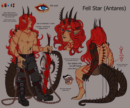 Reference Sheet + additional design details - $170